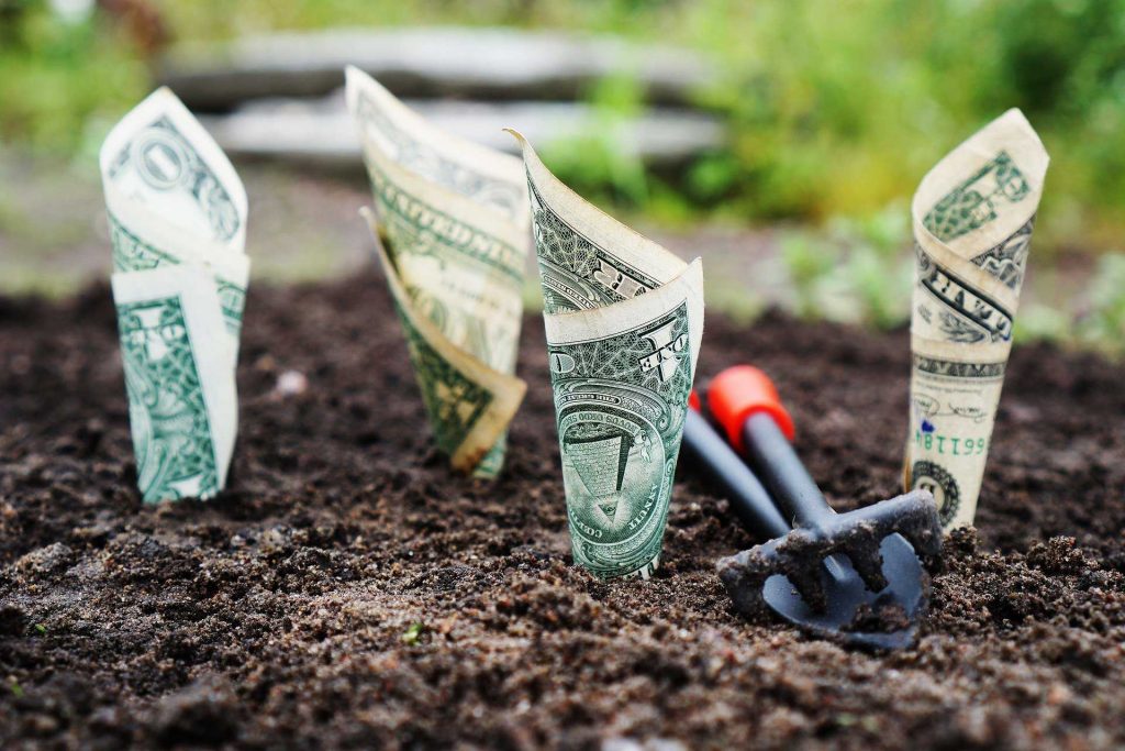 growing your investments
