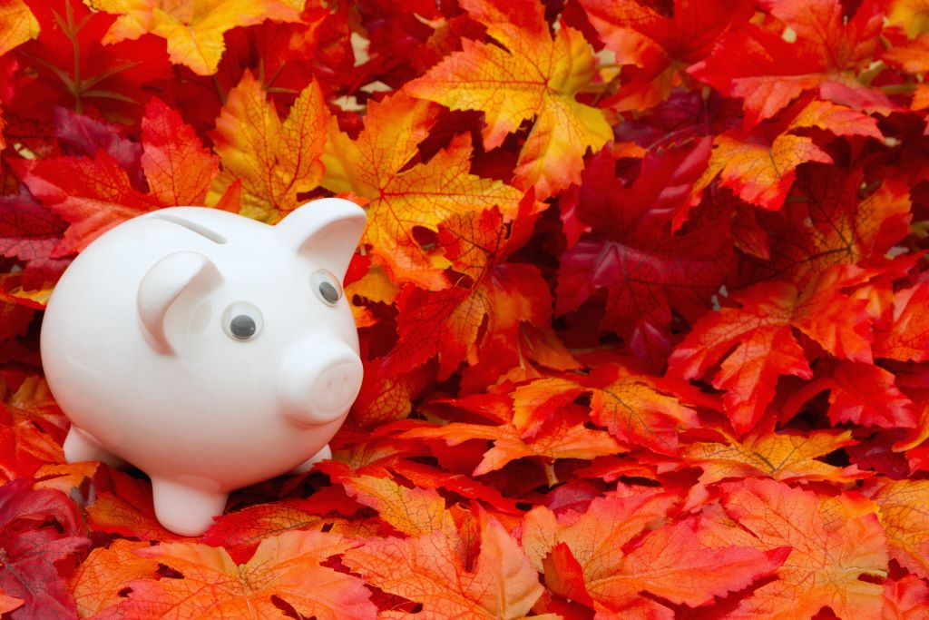 the ultimate guide for your fall financial check up