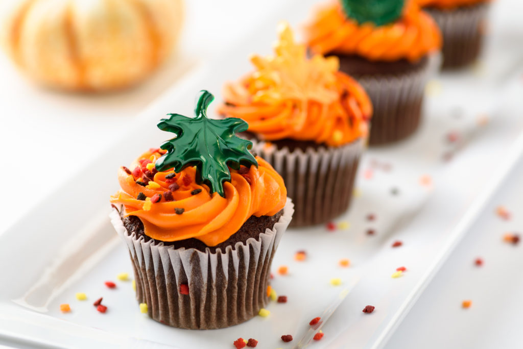 best chocolate pumpkin cupcake recipe